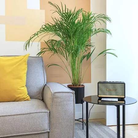 Ando Living - Douradores House Apartment